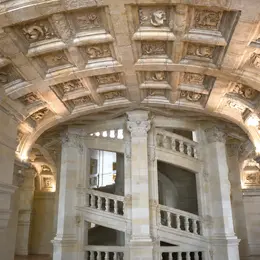 Micro-découvertes : Bêtes de château ; bêtes de musées