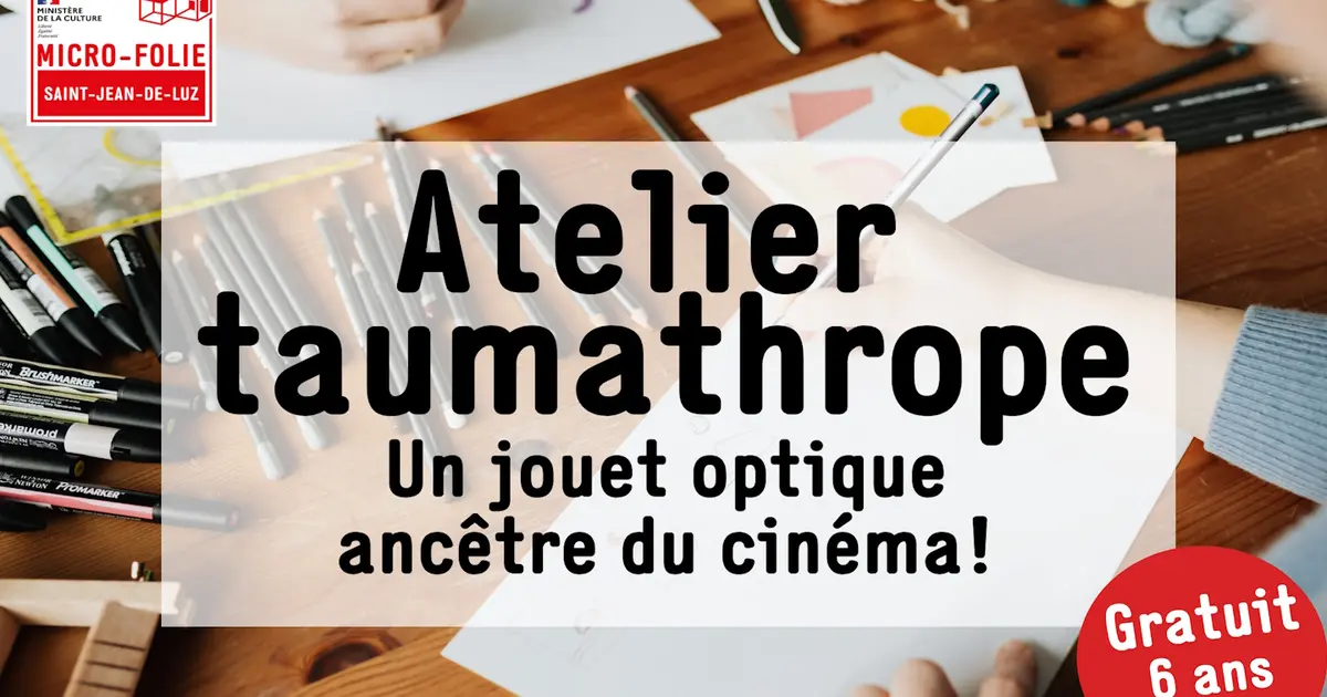 Micro-Folie : Atelier: Taumathrope-jouet optique