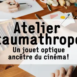 Micro-Folie : Atelier: Taumathrope-jouet optique