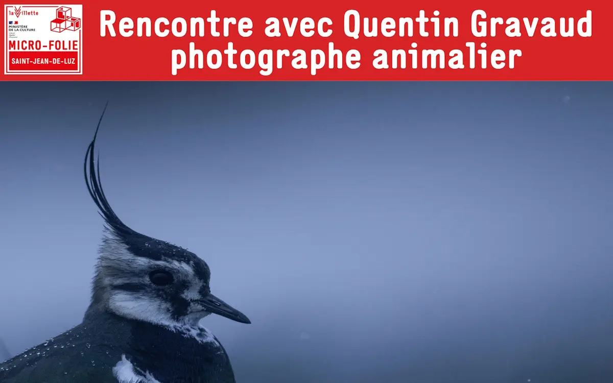 Micro-Folie : Rencontre avec Quentin Gravaud