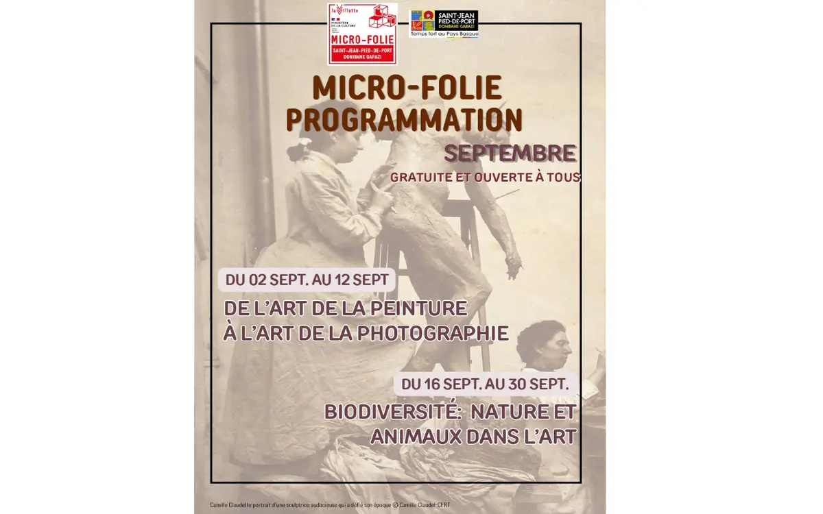 Micro-Folie - visites guidées Monuments photographiés : Promenades au Château de Blois