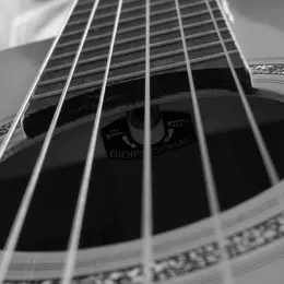 Micro’Stival : Guitares