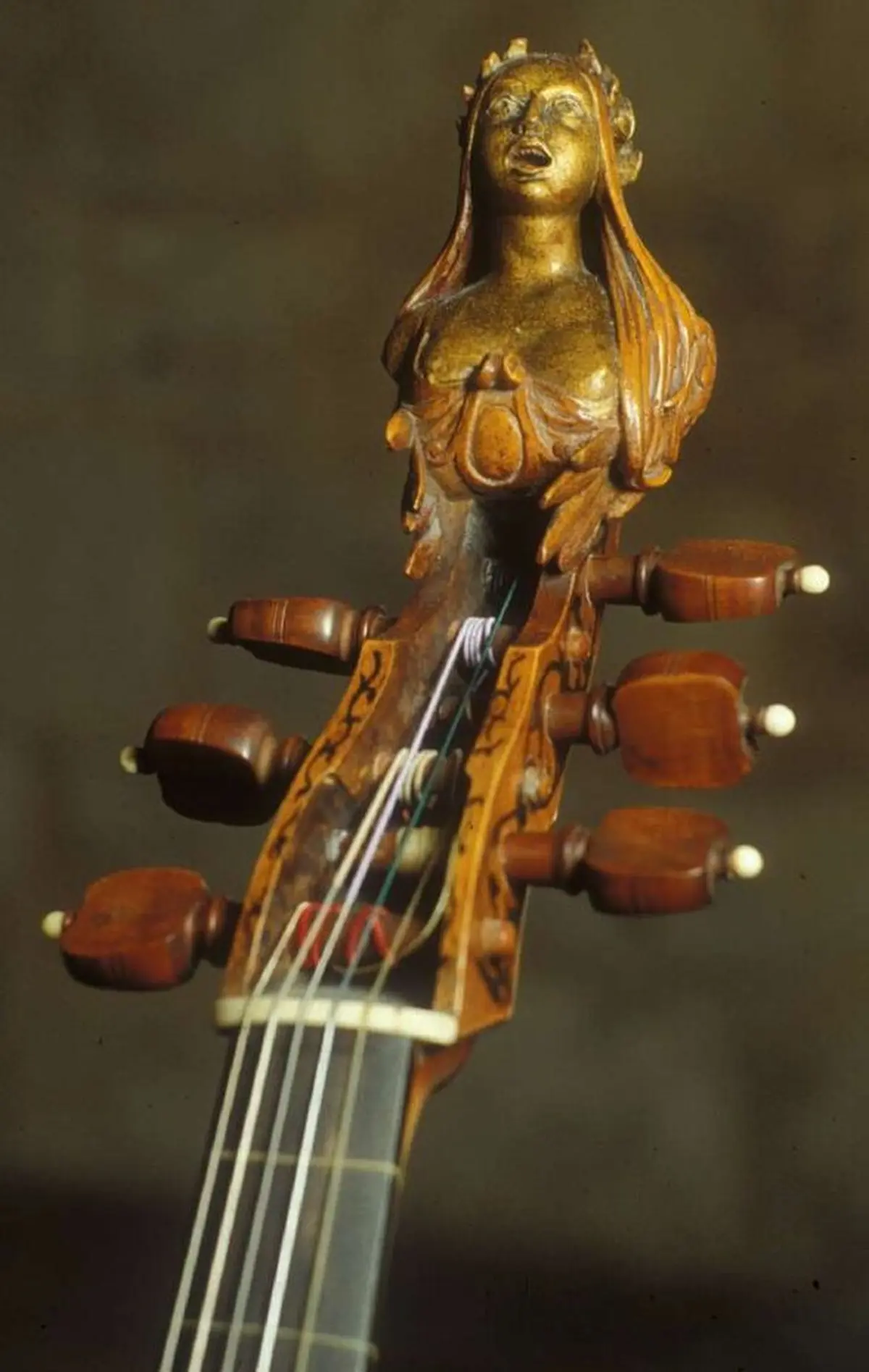 Midi au musée : Viole de Gambe au Musée Bernard d’Agesci à Niort
