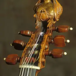 Midi au musée : Viole de Gambe au Musée Bernard d’Agesci à Niort