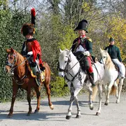 Military horse - drawn show