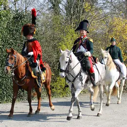 Military horse - drawn show