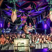Millésime Festival 2026