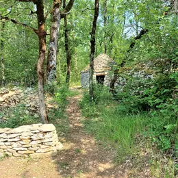 Milpas Sorgeais