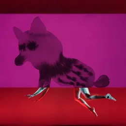 Mimos (IN) : Des chimères dans la tête