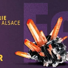 Mineral & Gem à Sainte-Marie-aux-Mines : bourse aux minéraux et pierres précieuses pour la 61e édition