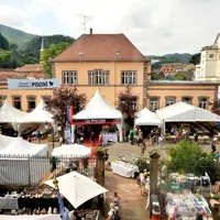 Mineral & Gem à Sainte-Marie-aux-Mines en 2026 - salon des minéraux DR
