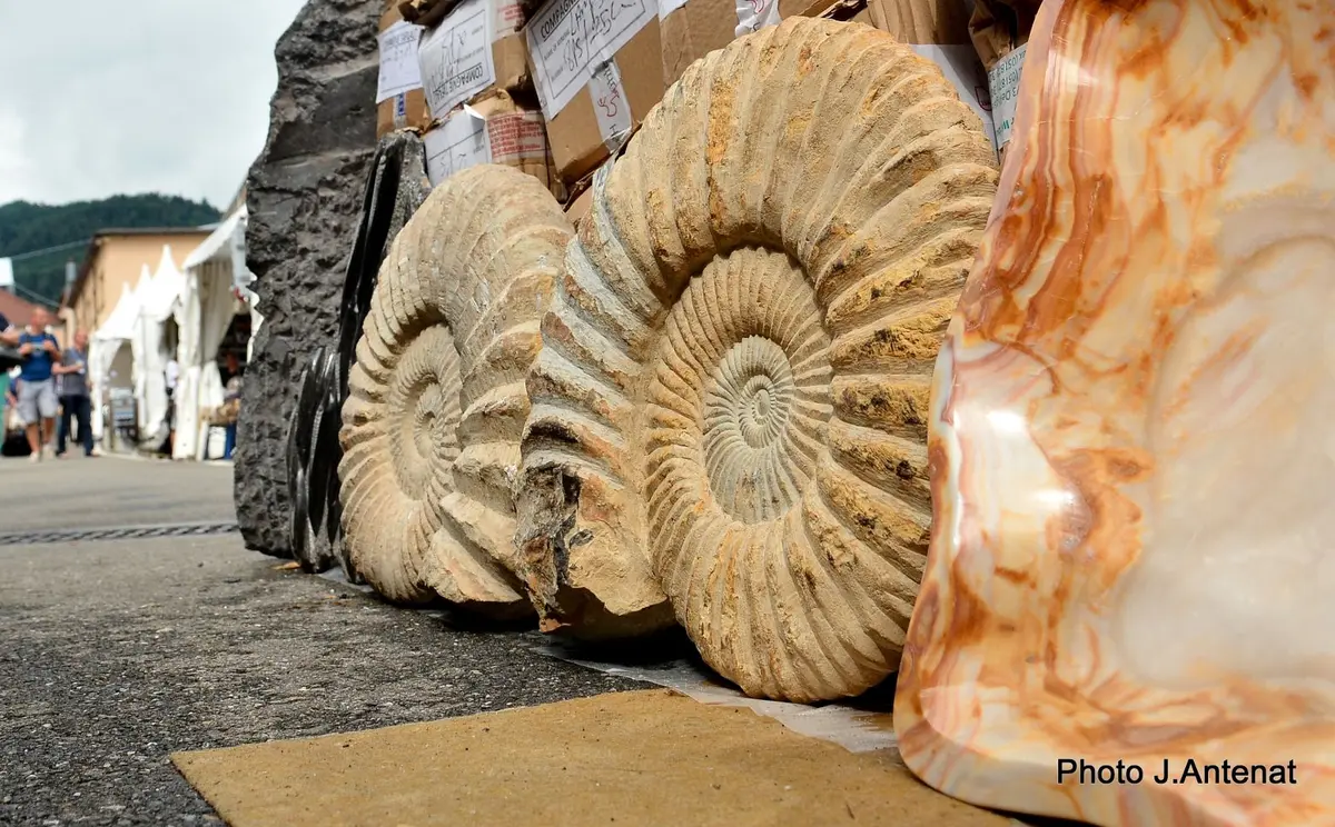 Mineral & Gem &agrave; Sainte-Marie-aux-Mines en 2026 - salon des min&eacute;raux