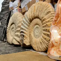 Mineral & Gem à Sainte-Marie-aux-Mines en 2026 - salon des minéraux &copy; J. Antenat