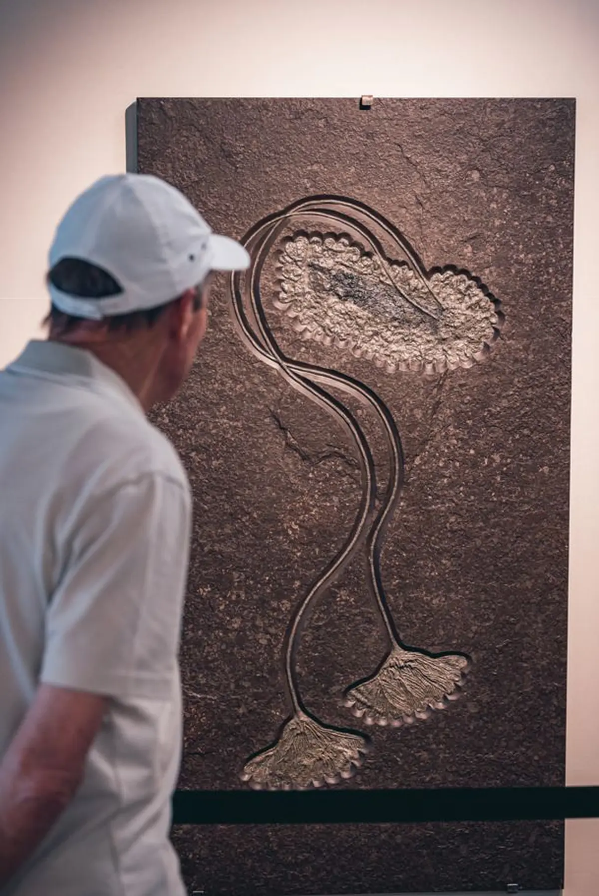 Mineral & Gem &agrave; Sainte-Marie-aux-Mines en 2026 - salon des min&eacute;raux