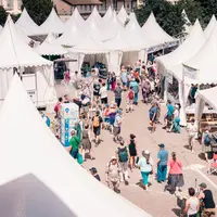 Mineral & Gem à Sainte-Marie-aux-Mines en 2026 - salon des minéraux DR