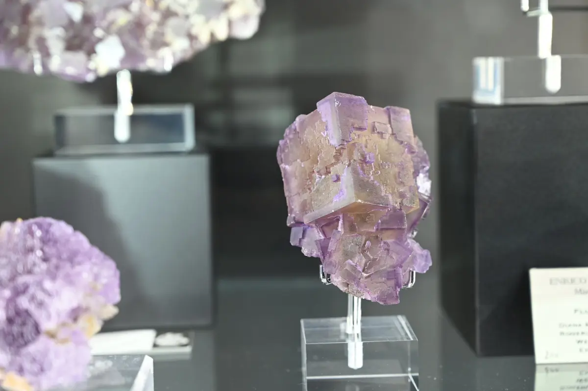 Collection Enrico Rinaldi