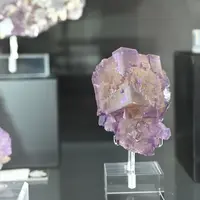 Collection Enrico Rinaldi DR