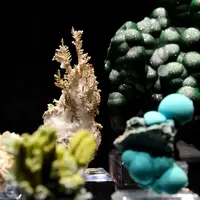 Mineral & Gem à Sainte-Marie-aux-Mines en 2026 - salon des minéraux &copy; J. Antenat