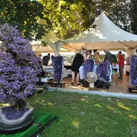 Le Parc Jules Simon DR