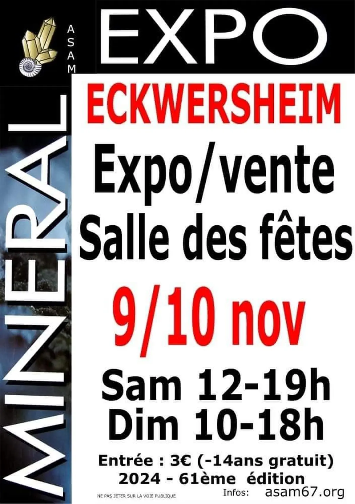 L'affiche du salon Minéral Expo