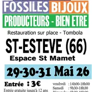 Mineraux Fossiles Bijoux