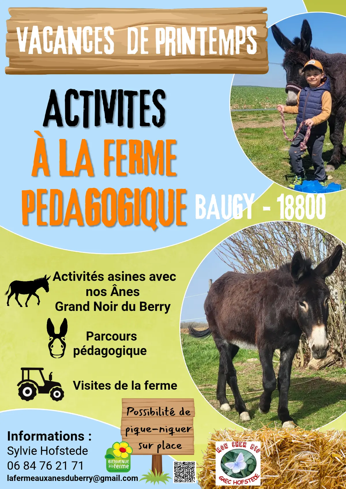 Mini Balade avec les Ânes