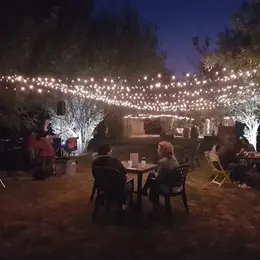 Mini Festival Le Champ De La Bière