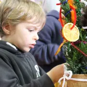 Mini sapin deviendra grand à la ferme de Gally St-Cyr-l'Ecole