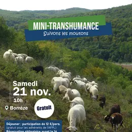 Mini-transhumanche à Borrèze