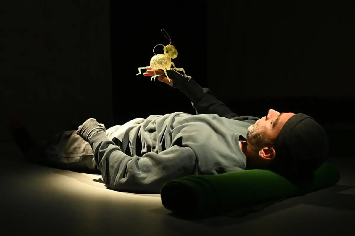 Minimus Ou Le Collembole, Un Vivant Sous Nos Pas