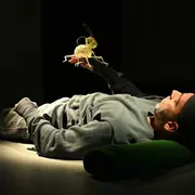 Minimus Ou Le Collembole, Un Vivant Sous Nos Pas