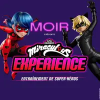 Miraculous Experience DR