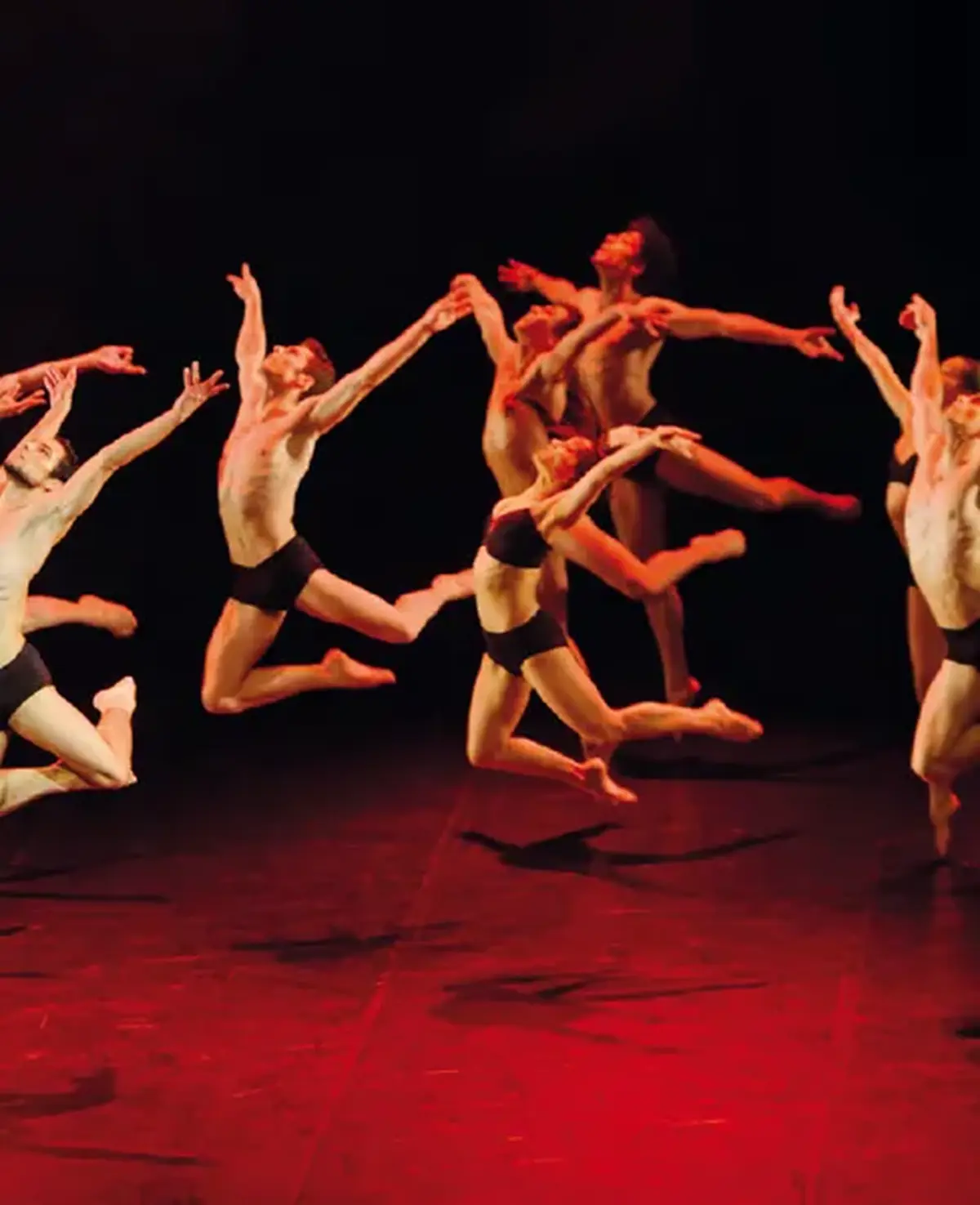 MisaTango / Boléro Ballet julien Lestel - Théâtre de la Maison du Peuple