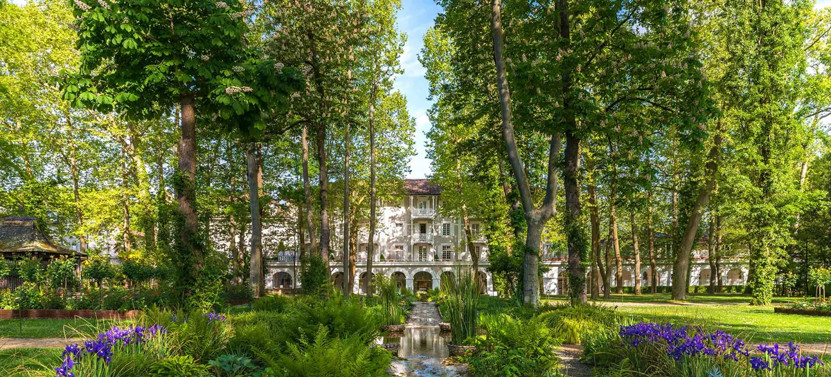 Mise Au Vert & Gourmandises