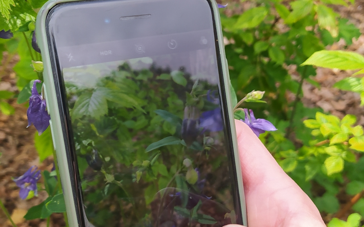 Mission iNaturalist : rallye photo & défi biodiversité