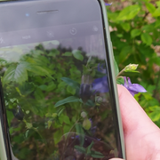 Mission iNaturalist : rallye photo & défi biodiversité