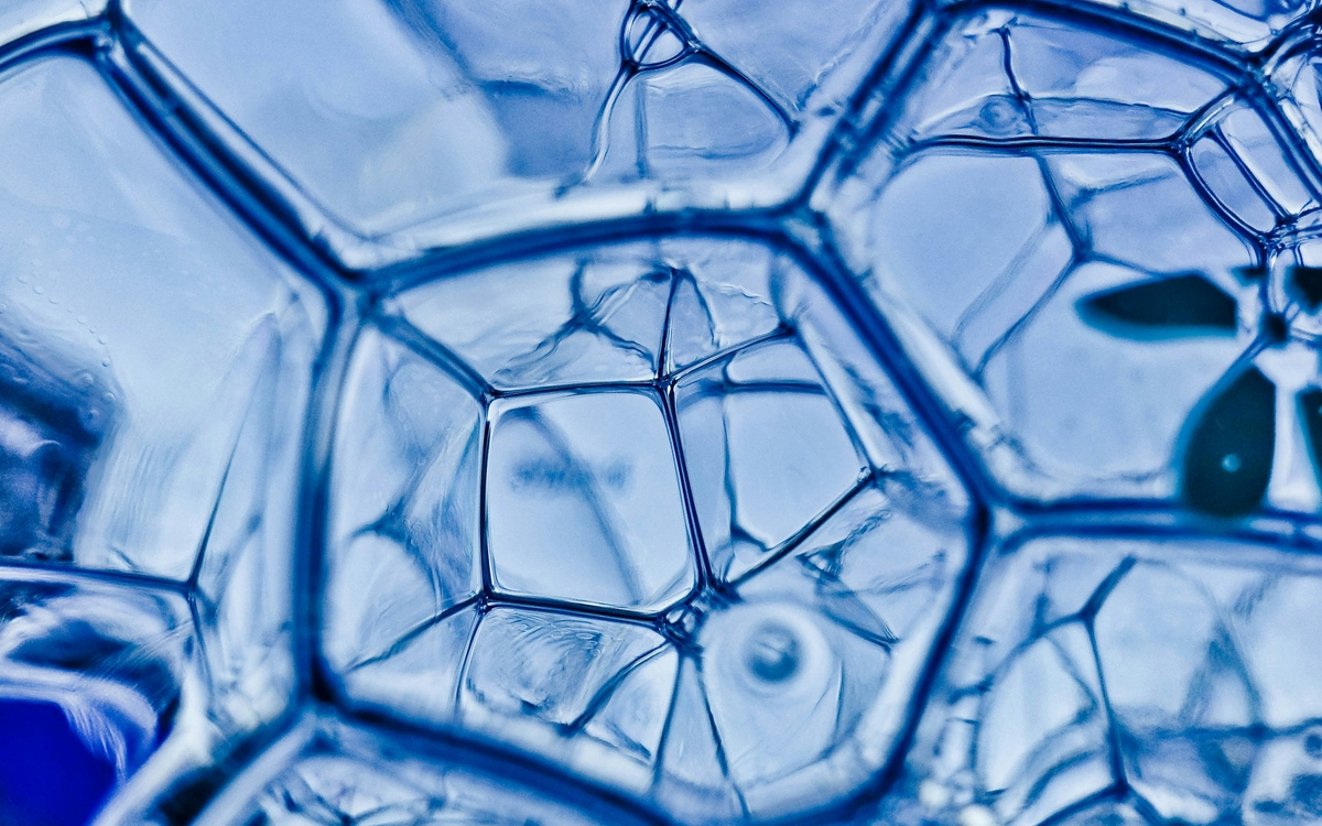 daniele-levis-pelusi-tL_IIeMc5Xo-unsplash