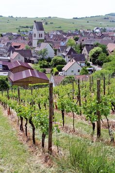 Mittelwihr le guide, infos, loisirs, tourisme, sorties