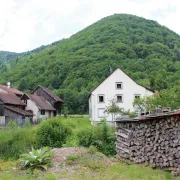 Escapade dans les Vosges : sur le sentier de la Wormsa