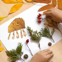 Mobilier d'automne