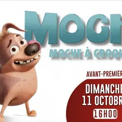 Mochy