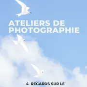Mois de la Photo : Atelier #4 - Parler de Son Art