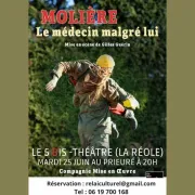 Molière: Médecin malgré lui