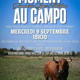 Moment au Campo - Ganaderia Pagès-Mailhan