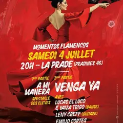 Momentos Flamencos