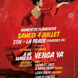 Momentos Flamencos