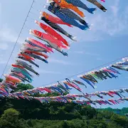 Mon voisin japonais - Tango no sekku