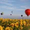 Mondial Air Ballons MAB  à Chambley &copy; Facebook / Festival de la Saint Paul à Sarreguemines 2023