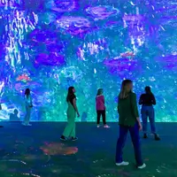 Monet : The Immersive Experience DR
