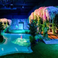 Monet : The Immersive Experience DR